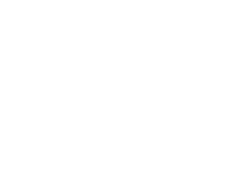 The Shed